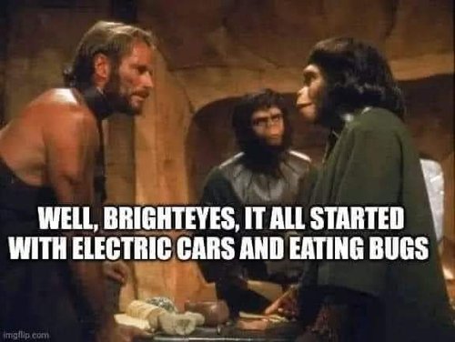 FB_IMG_1714672840646.jpg