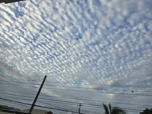 20240521_061410.jpg