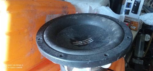 IMG_20241021_085316.jpg
