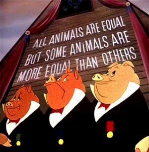 animal-farm-1.jpg