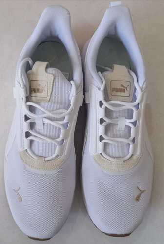 Puma 1.jpg