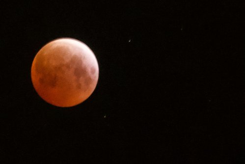 66235274-e565-4229-a861-8c97de1e2013.jpg