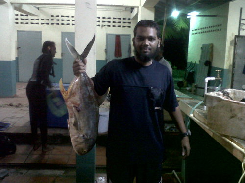 IMG00177-20111016-1814.jpg