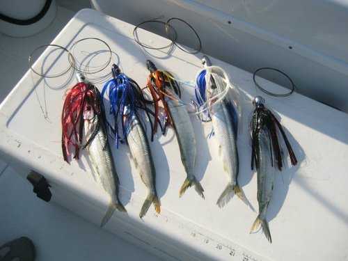 LURES 2.jpg