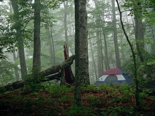camping_-_tent.jpg