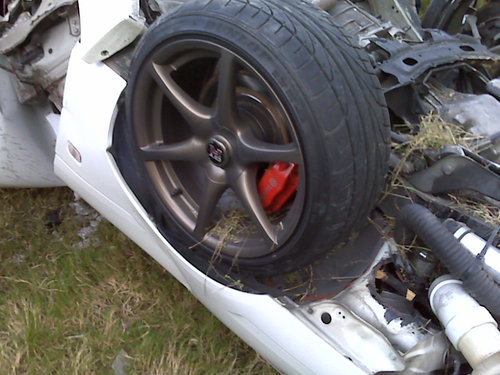 IMG00552.jpg
