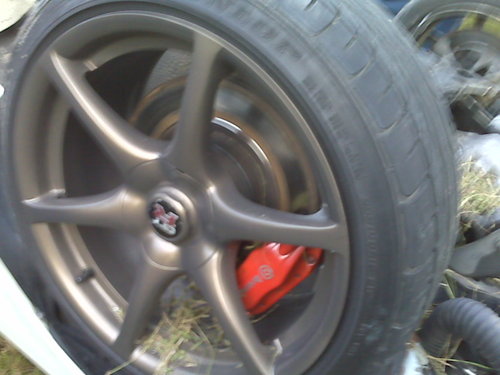 IMG00553.jpg