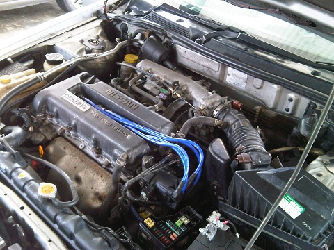 IMG00024-20100725-0933.jpg