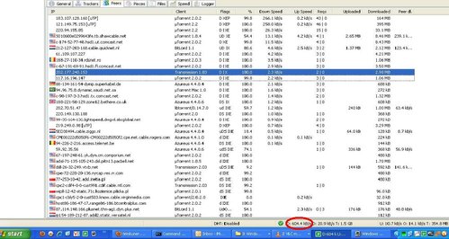 torrent speed.JPG