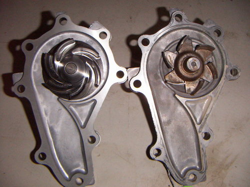 PICT0341.JPG