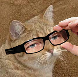 1317251407126.png