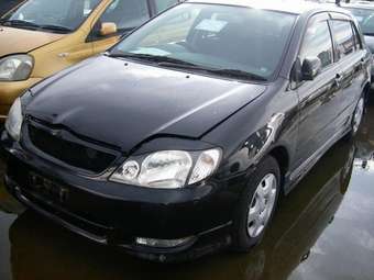 corolla.jpg