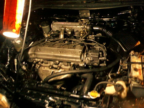 Photo0159.jpg
