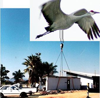crane.JPG