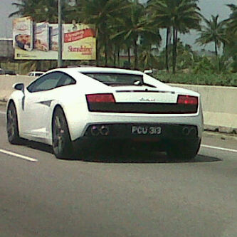 lambo trini.jpg
