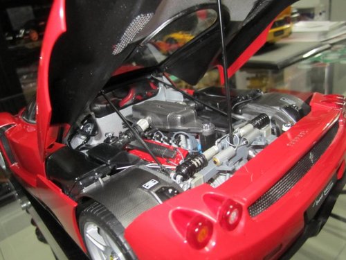 Enzo.jpg
