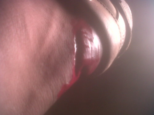 IMG01115-20120223-1942.jpg
