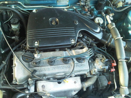 IMG00626-20120211-1725.jpg