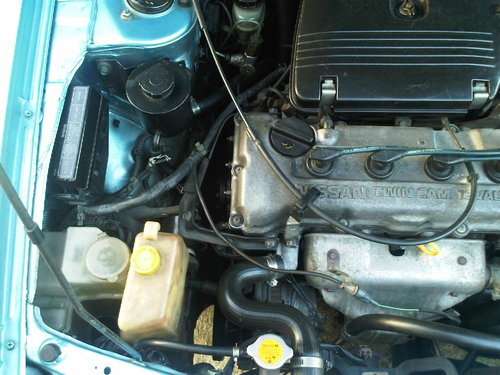 IMG00627-20120211-1725.jpg