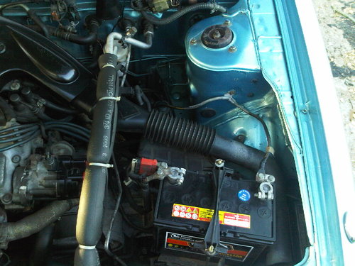 IMG00628-20120211-1725.jpg