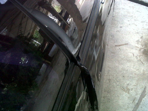 IMG00586-20120304-1526.jpg