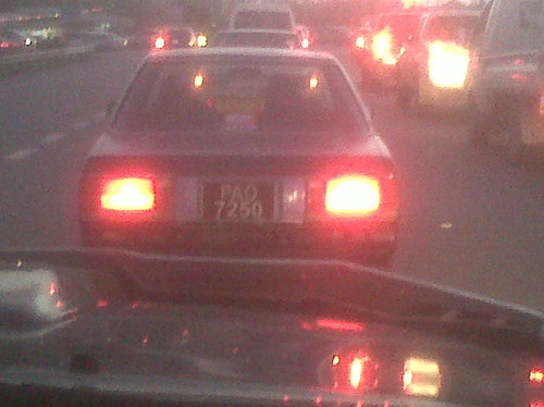 IMG01134-20120306-1828.jpg