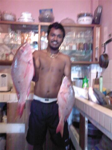 snappers.jpg