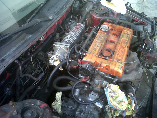 IMG00224-20110108-1642.jpg