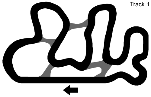 track1.gif