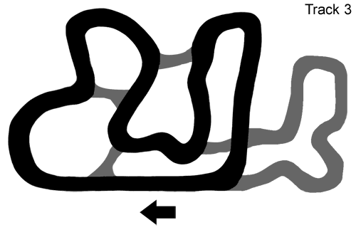 track3.gif