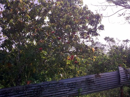 1803201211511.jpg