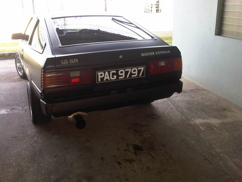 IMG-20120317-00229.jpg