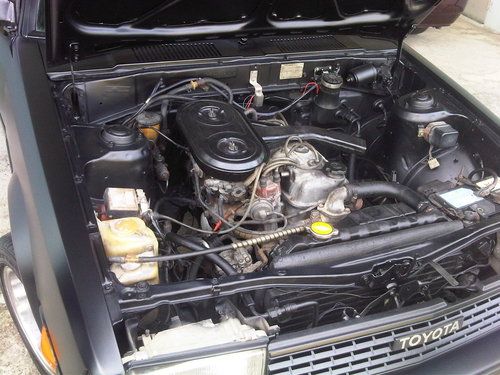 IMG-20120317-00234.jpg