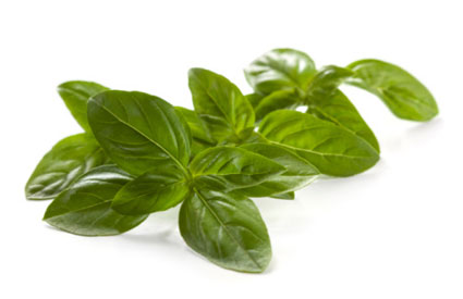 9-spices.jpg