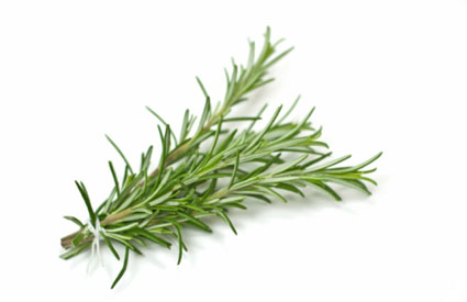 7-spices.jpg