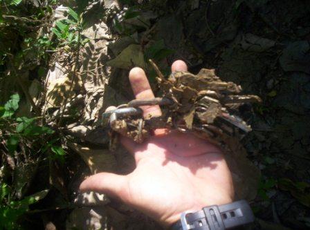 100_3380.JPG
