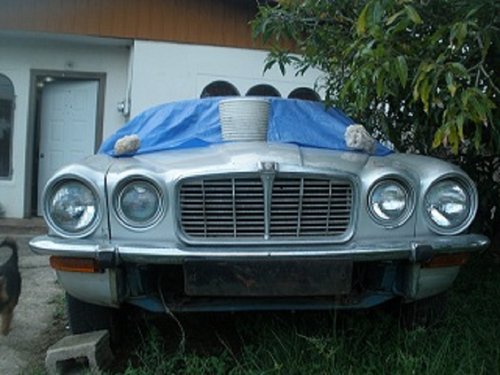 P8242672.JPG