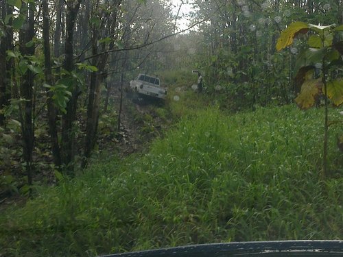 mini-080420121061.jpg
