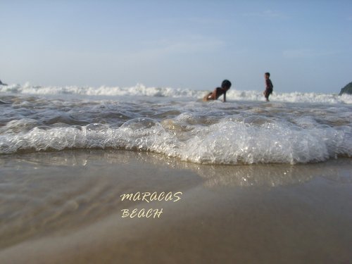 maracas.jpg