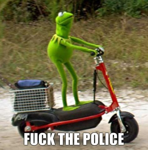Kermit.jpg