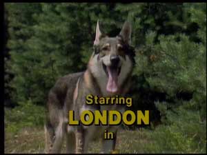 littlest-hobo-pic1.jpg