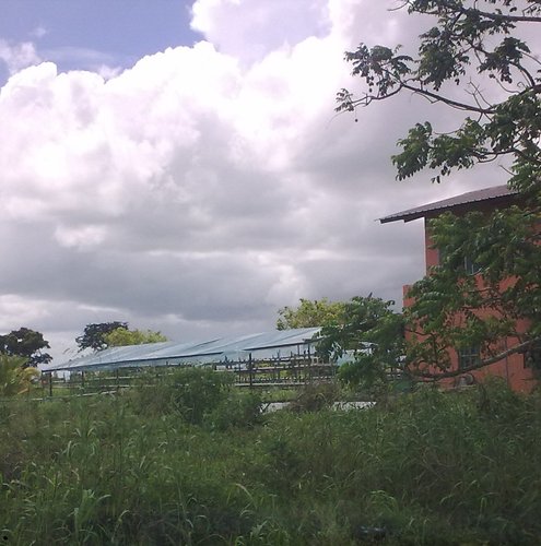 0505201213331.jpg