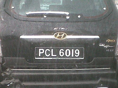 IMG01568-20111222-1232.jpg